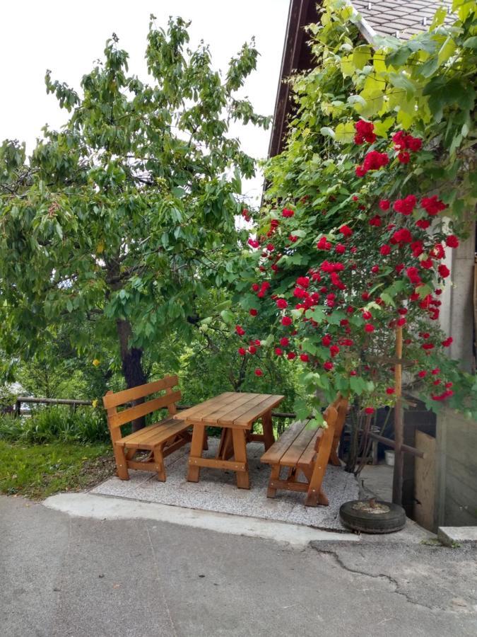 Апартаменты Pr' Hribar Згорнье-Горье Экстерьер фото