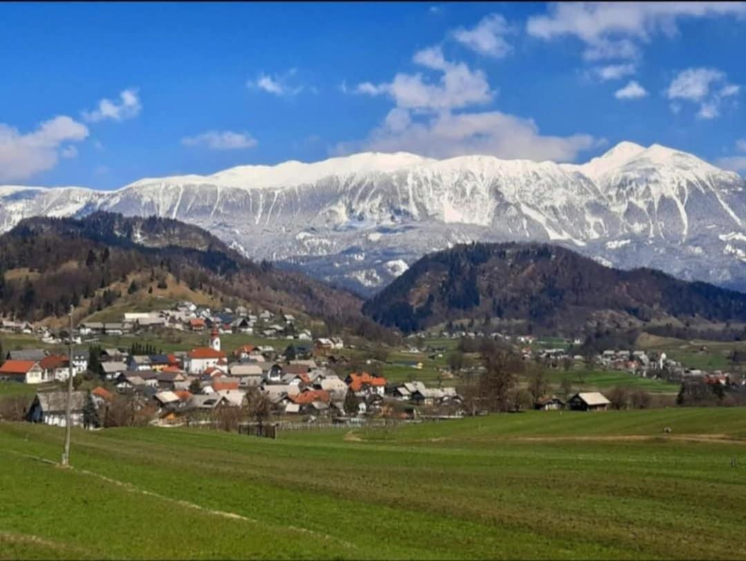 Апартаменты Pr' Hribar Згорнье-Горье Экстерьер фото