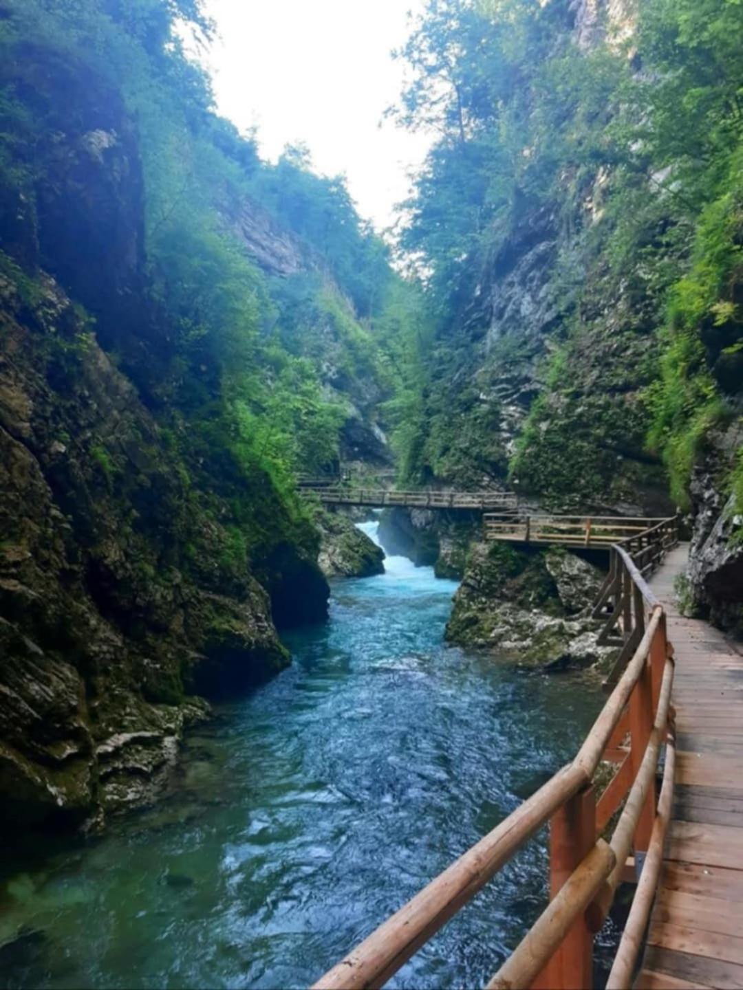 Апартаменты Pr' Hribar Згорнье-Горье Экстерьер фото