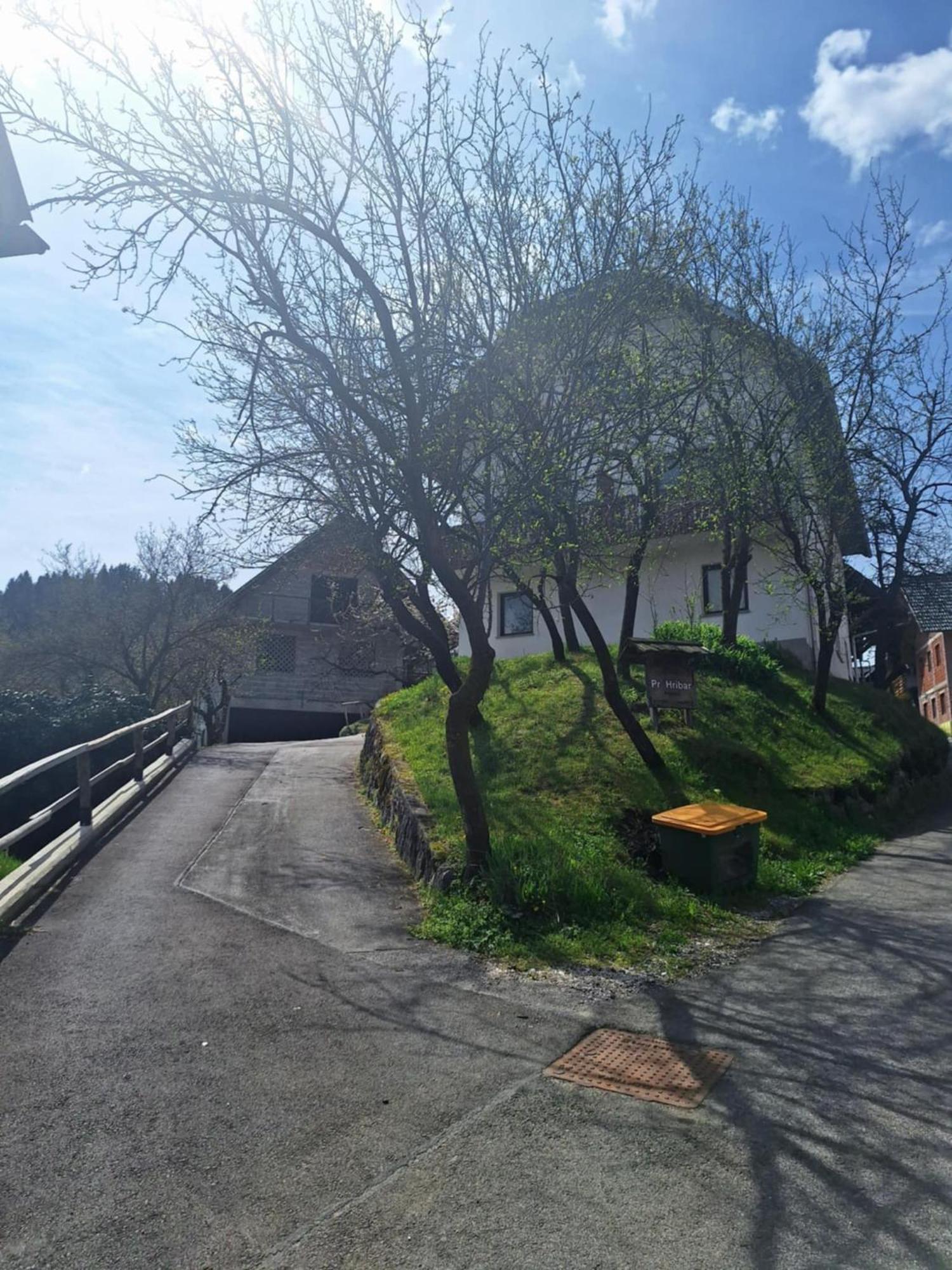 Апартаменты Pr' Hribar Згорнье-Горье Экстерьер фото